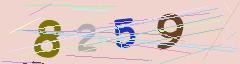 CAPTCHA validation image