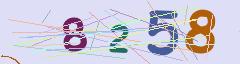 CAPTCHA validation image