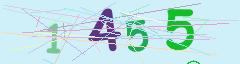 CAPTCHA validation image