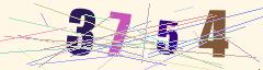 CAPTCHA validation image