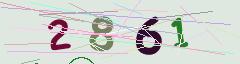 CAPTCHA validation image