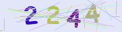 CAPTCHA validation image