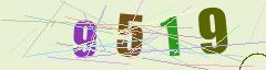 CAPTCHA validation image