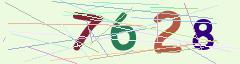 CAPTCHA validation image