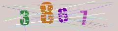 CAPTCHA validation image