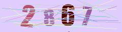 CAPTCHA validation image