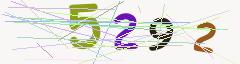 CAPTCHA validation image
