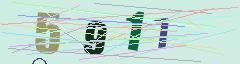 CAPTCHA validation image