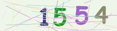 CAPTCHA validation image