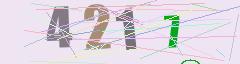 CAPTCHA validation image