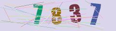 CAPTCHA validation image
