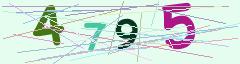 CAPTCHA validation image
