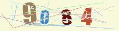 CAPTCHA validation image