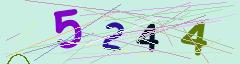 CAPTCHA validation image