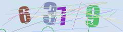 CAPTCHA validation image