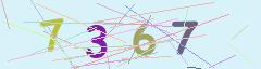 CAPTCHA validation image
