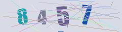 CAPTCHA validation image