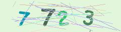 CAPTCHA validation image