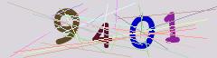 CAPTCHA validation image