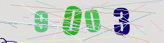 CAPTCHA validation image