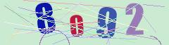 CAPTCHA validation image