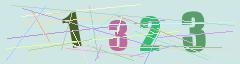 CAPTCHA validation image