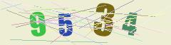 CAPTCHA validation image
