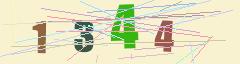 CAPTCHA validation image