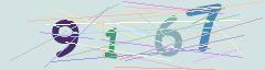 CAPTCHA validation image