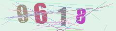 CAPTCHA validation image