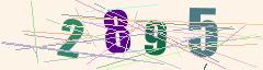 CAPTCHA validation image