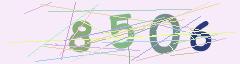 CAPTCHA validation image