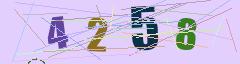 CAPTCHA validation image
