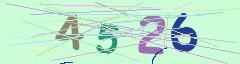 CAPTCHA validation image