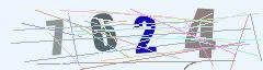 CAPTCHA validation image