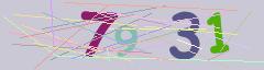 CAPTCHA validation image