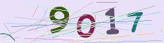 CAPTCHA validation image