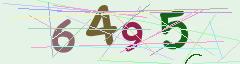 CAPTCHA validation image