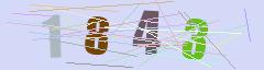 CAPTCHA validation image