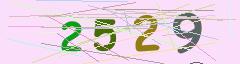 CAPTCHA validation image