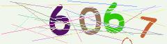 CAPTCHA validation image