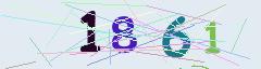 CAPTCHA validation image