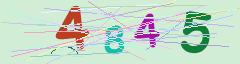 CAPTCHA validation image