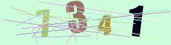 CAPTCHA validation image
