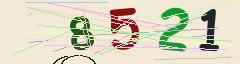 CAPTCHA validation image