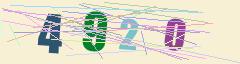 CAPTCHA validation image